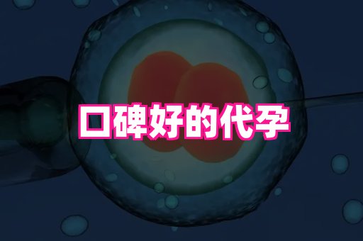 代怀助孕|供卵代怀服务——le